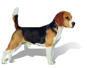 dog1.gif